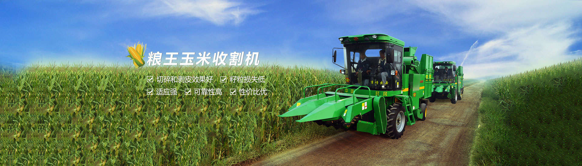 龙八国际龙八国际  路路流通